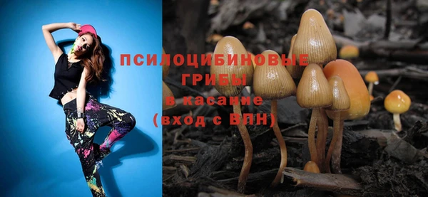 бошки Абаза