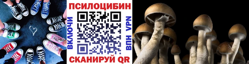 блэк спрут ссылка  Ялуторовск  Псилоцибиновые грибы ЛСД 