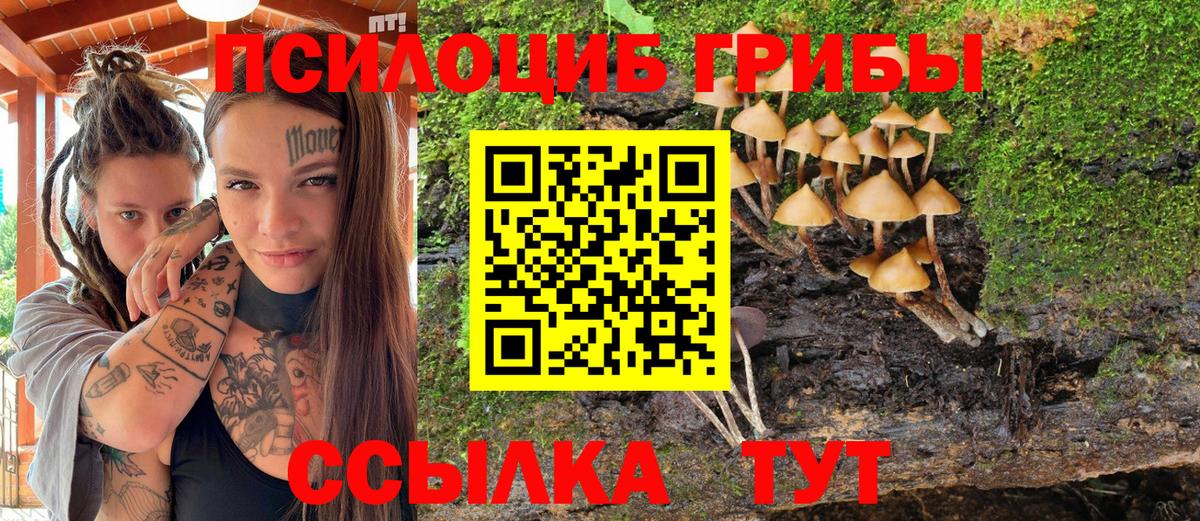 Ялуторовск  Галлюциногенные грибы MAGIC MUSHROOMS  Вход с VPN 